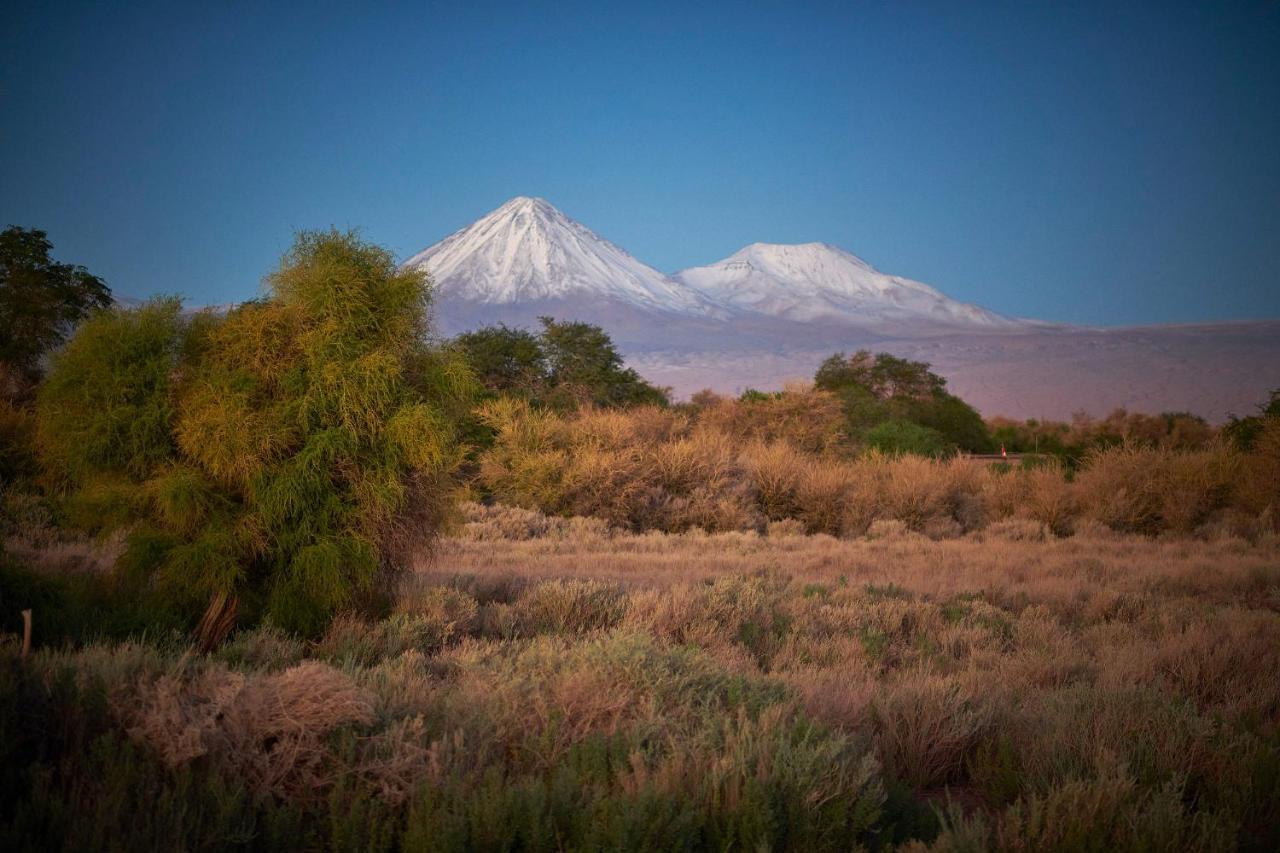Casa Chincol Guest House San Pedro de Atacama Bagian luar foto