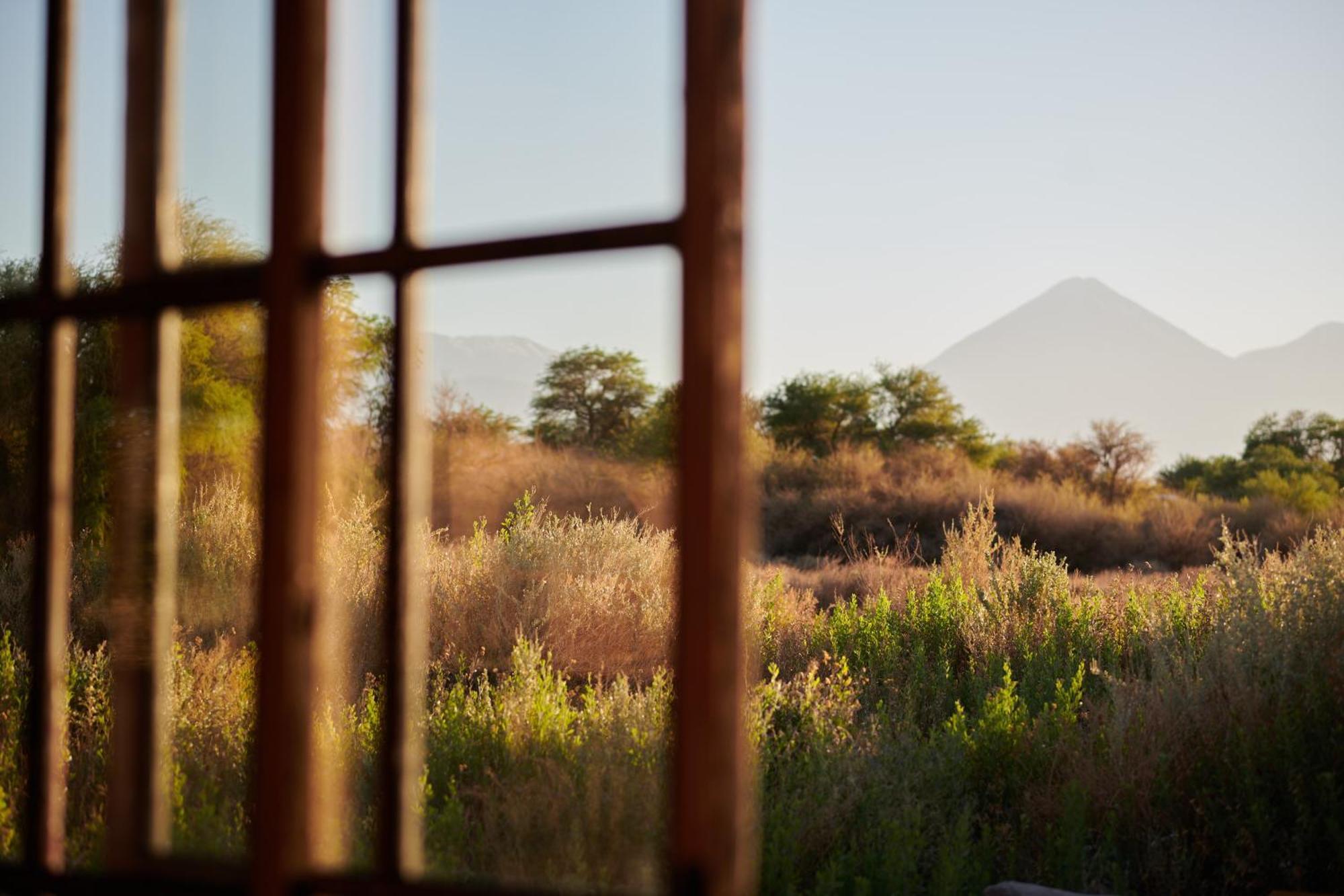 Casa Chincol Guest House San Pedro de Atacama Bagian luar foto